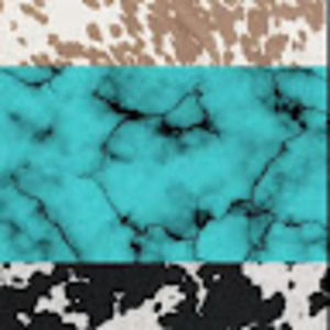 Meet your Posher, Ella